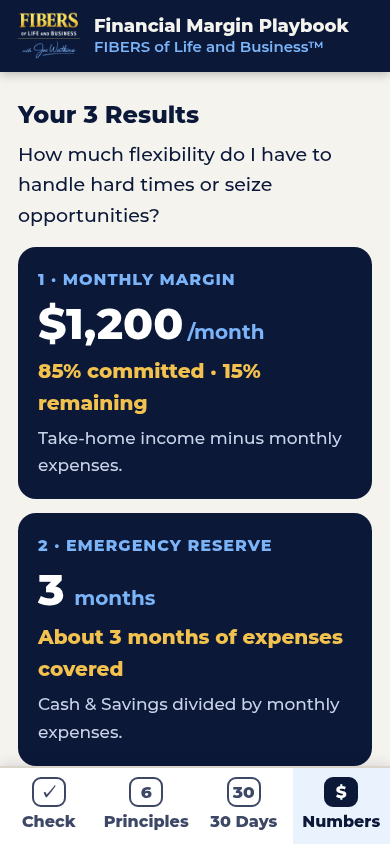 The Financial Margin Playbook app — your results